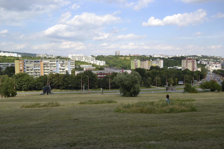 mestske-vcely