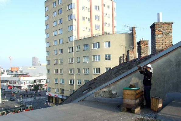 Úľ na streche bratislavskej Starej tržnice. FOTO - Živica