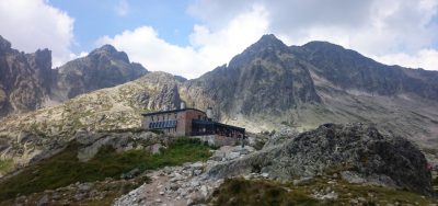 tatra-flowers-ochranari