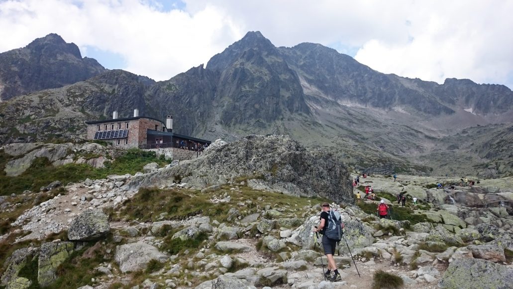 tatra-flowers-ochranari