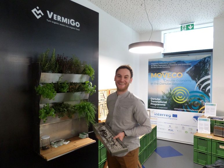 vermigo