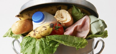 food-waste