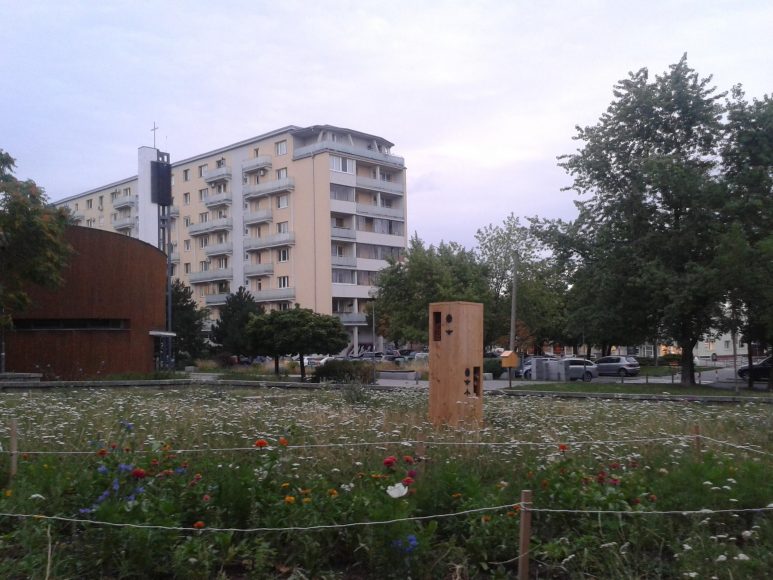 mestske-vcely