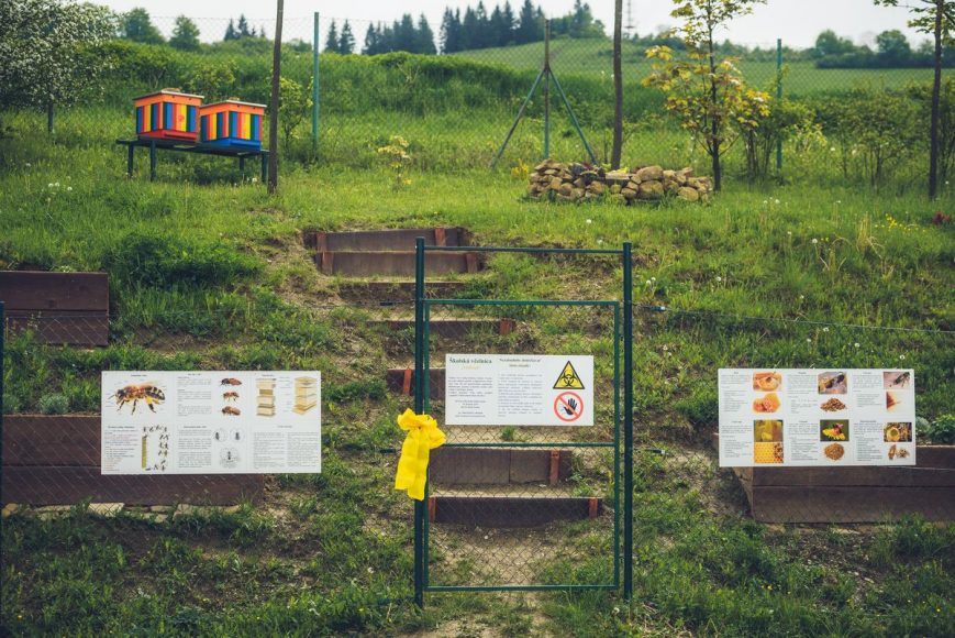 skolska-vcelnica