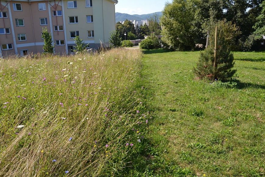 brno-zelen